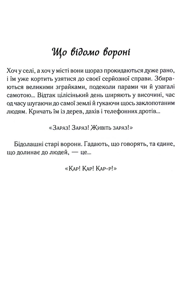 Книга Теревені по всьому місту. Книга 4 - Фенні Флеґґ. Фото 6
