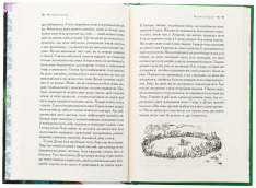 Книга Хроніки Нарнії. Книга 1. Небіж чаклуна - Клайв Стейплз Льюїс. Фото 4