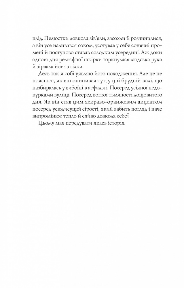 Книга Апельсин у калюжі - Людмила Баран. Фото 4
