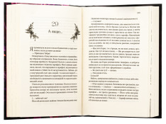 Книга Корона брехні - Ебіґейл Овен. Фото 4
