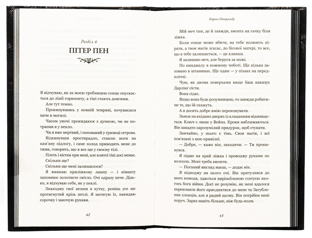 Книга Розпусні загублені хлопці. Книга 1. Король Неверленду - Ніккі Сент-Кроу. Фото 5