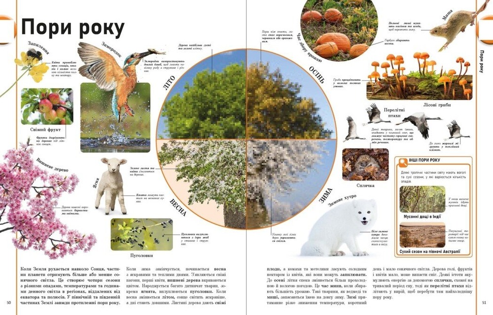 Книга Енциклопедія про все. Наш світ у малюнках DK. Фото 10
