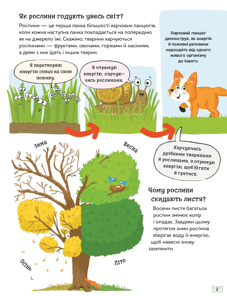 Книга Хочу все знати про рослини. Фото 6