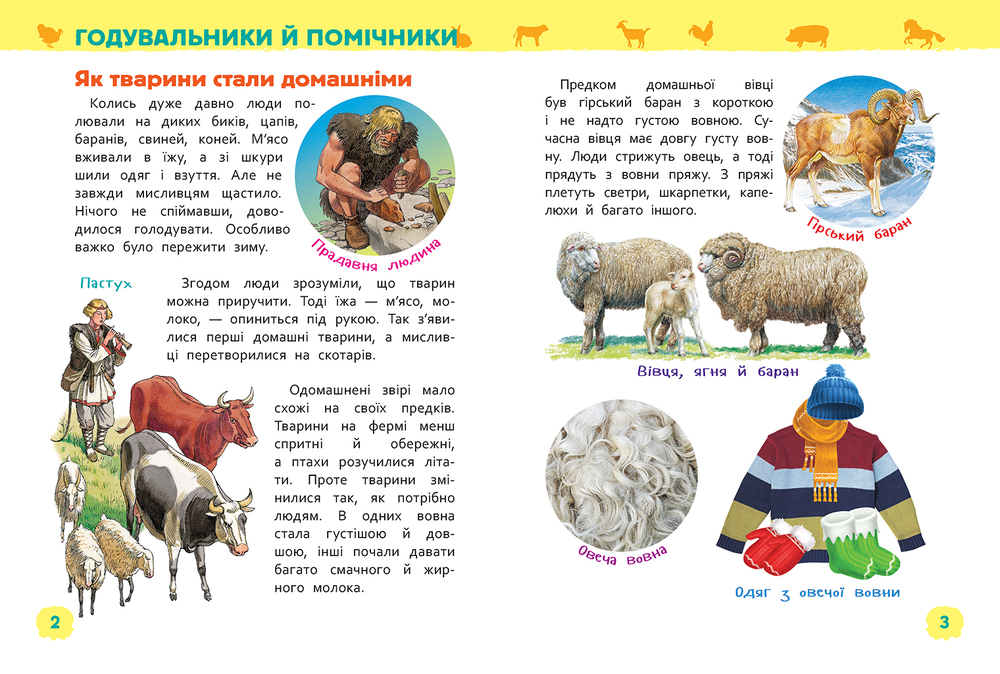 Моя перша енциклопедія. Тварини ферми. Фото 4