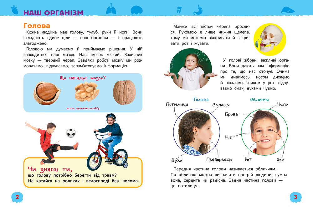 Моя перша енциклопедія. Тіло людини. Фото 4