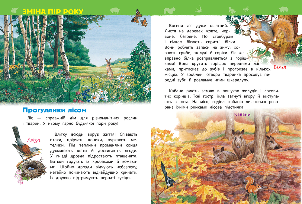Моя перша енциклопедія. У лісі. Фото 4