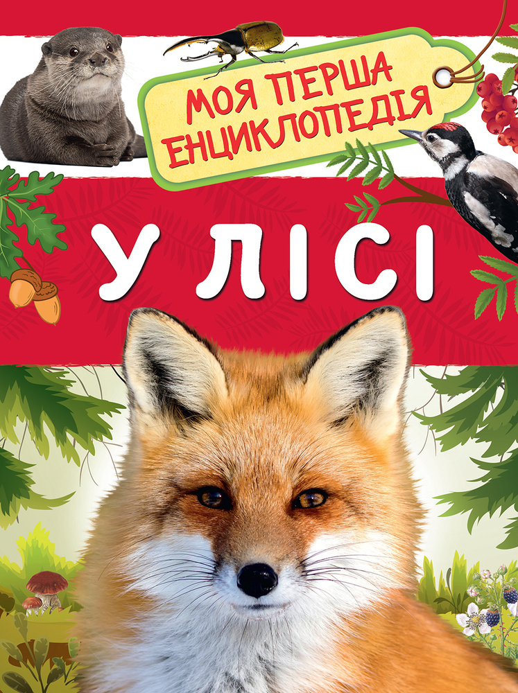 Моя перша енциклопедія. У лісі