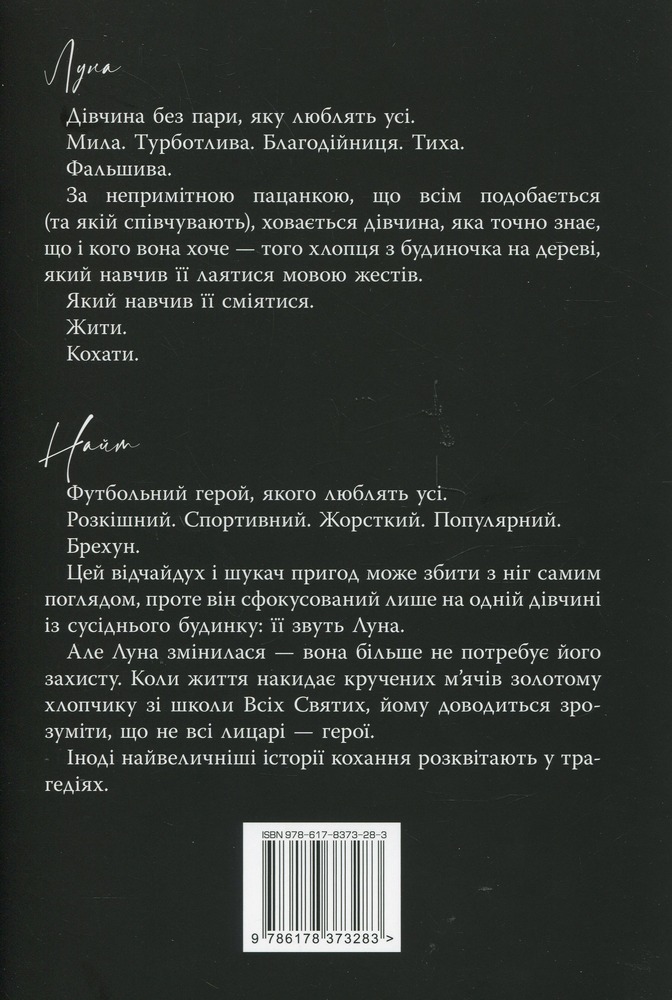 Книга Розбитий лицар - Л. Дж. Шен. Фото 2