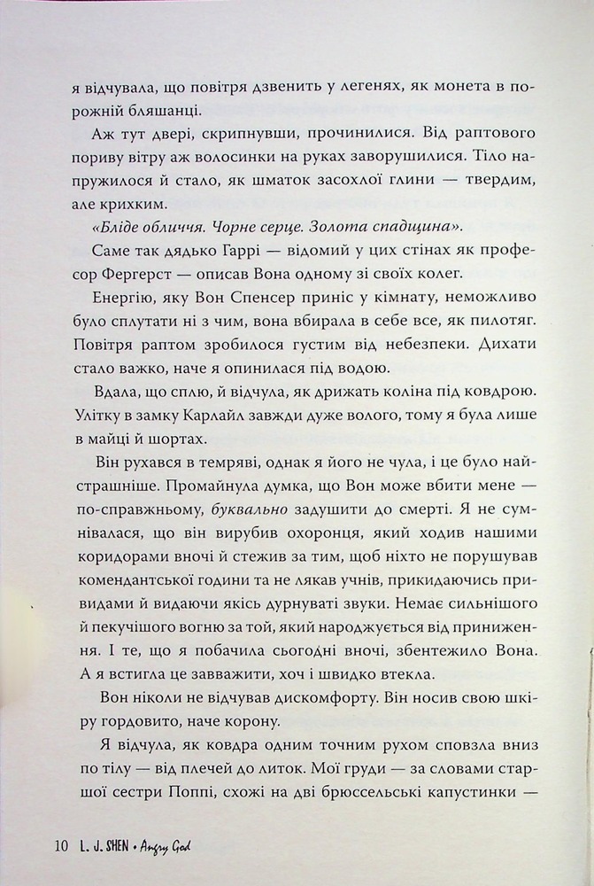 Книга Розгніваний бог - Л. Дж. Шен. Фото 11
