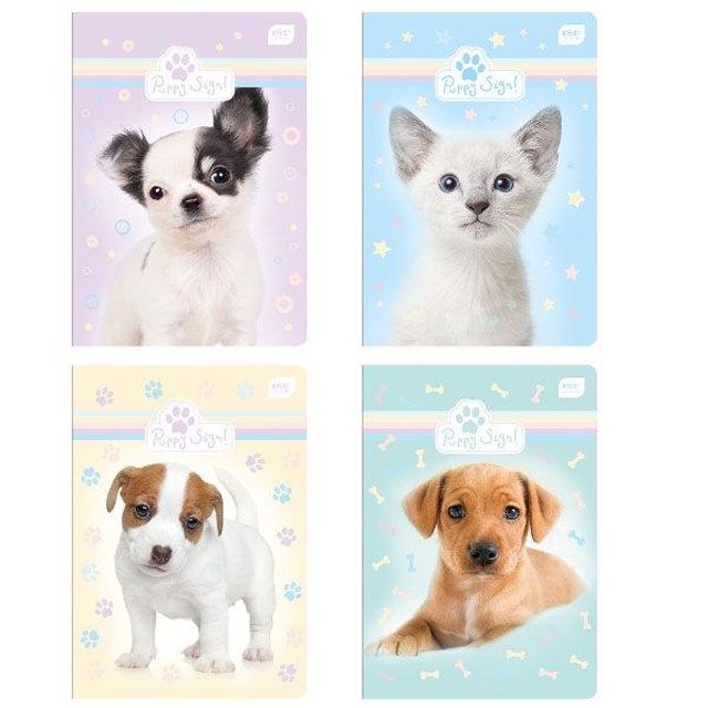 Зошит Interdruk А5, 16 аркушів, клітинка, євро-формат PUPPY SIGN 226921. Фото 2