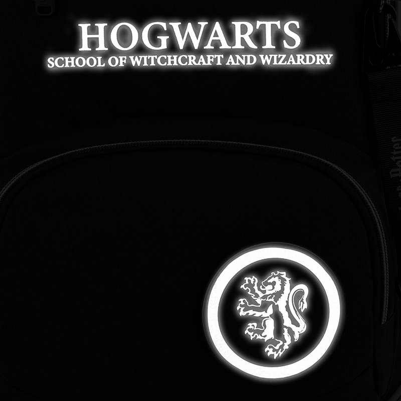 Рюкзак шкільний Kite Education Harry Potter HP25-773M. Фото 19
