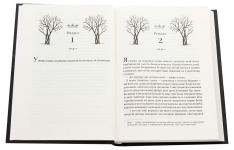Книга Жорстокий принц. Книга 1 - Голлі Блек. Фото 4