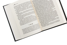 Книга Жорстокий принц. Книга 1 - Голлі Блек. Фото 5