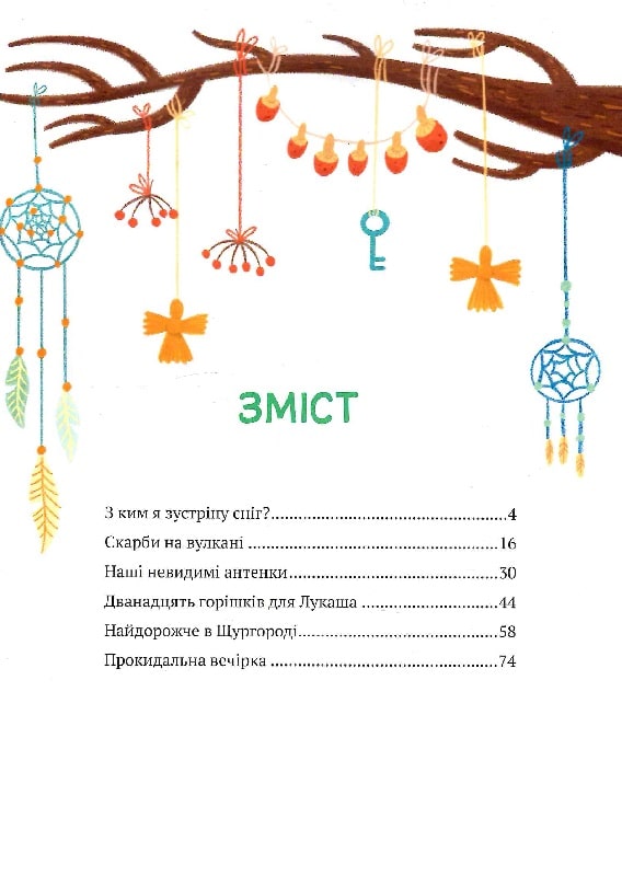 Книга Історії друзів із Горішкових Плавнів. Фото 3