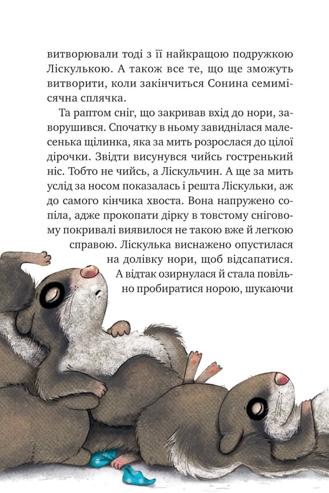 Книга Маленька Соня в лісі різдвяних історій - Забіне Больман. Фото 5