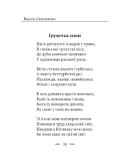 Книга Земля кричить. Шинкують кров’ю війни... Василь Симоненко. Фото 6