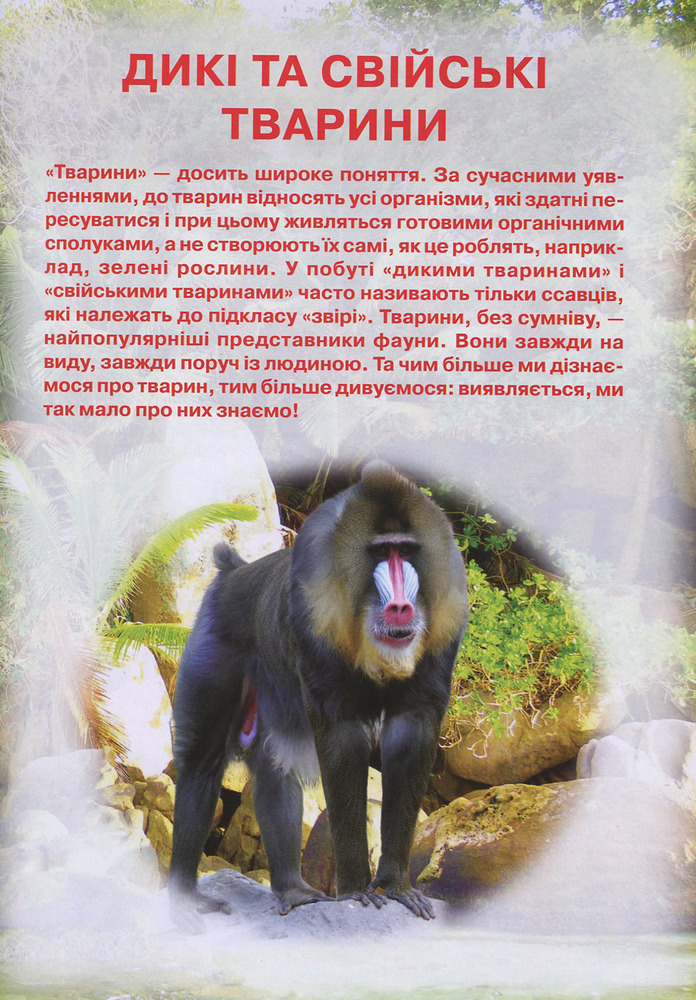 Книга Ілюстрований атлас живої природи. Фото 3