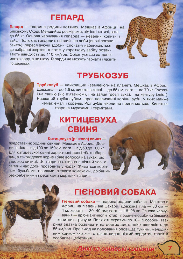 Книга Ілюстрований атлас живої природи. Фото 7