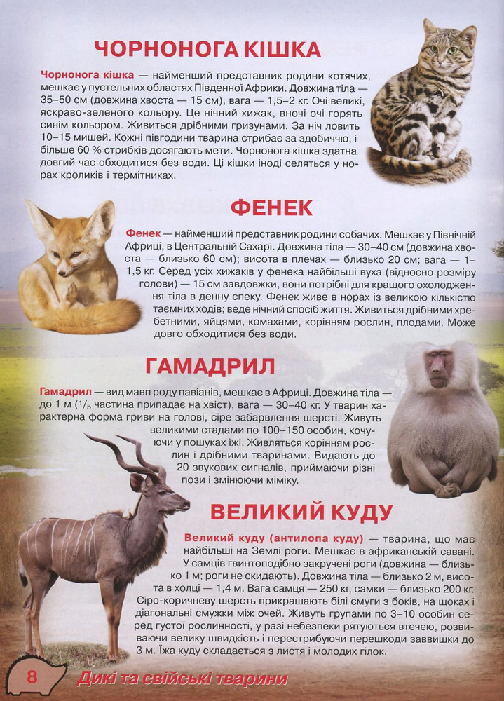 Книга Ілюстрований атлас живої природи. Фото 8
