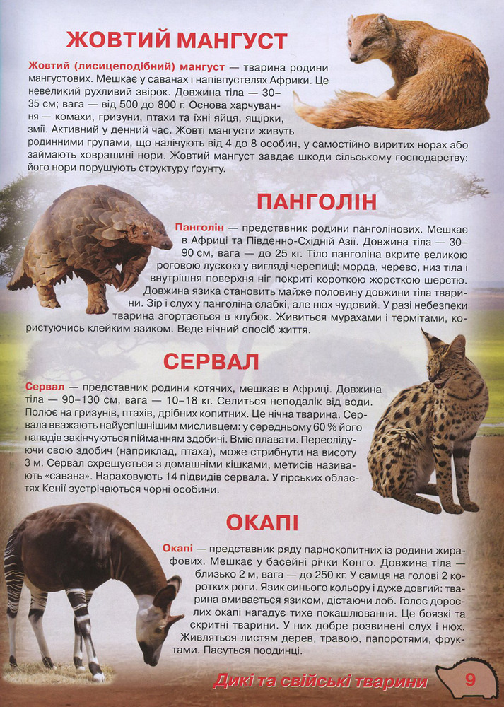 Книга Ілюстрований атлас живої природи. Фото 9