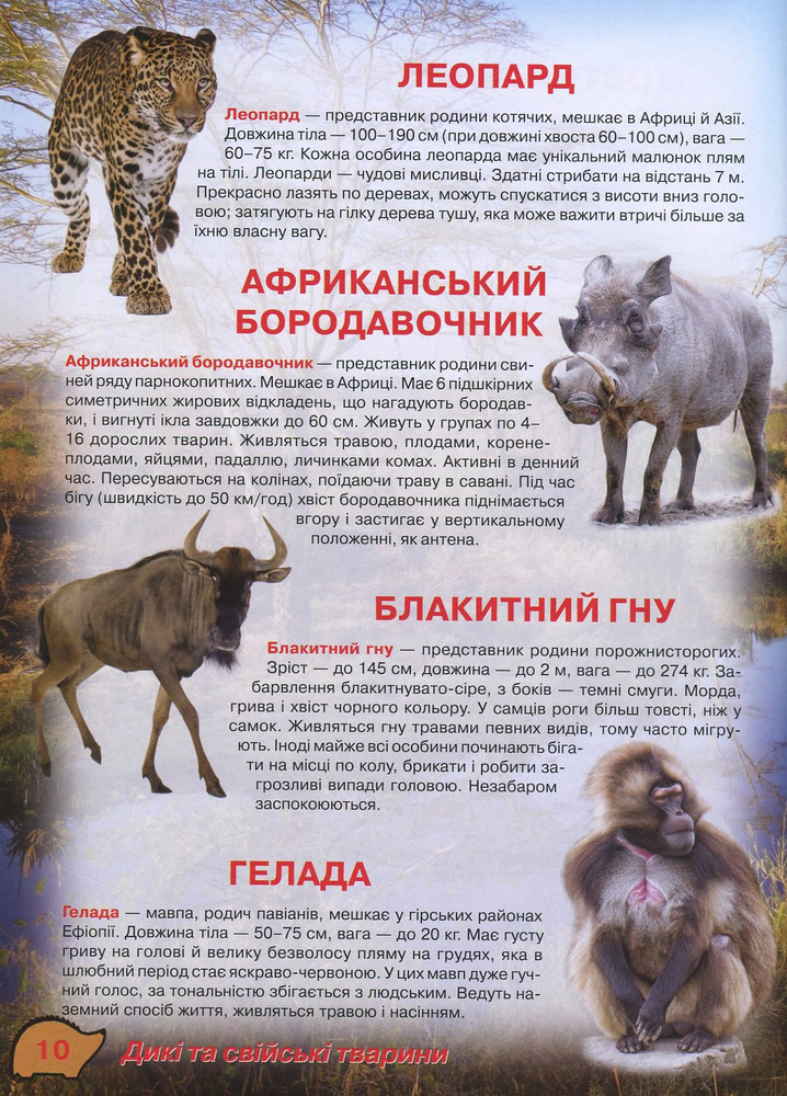 Книга Ілюстрований атлас живої природи. Фото 10