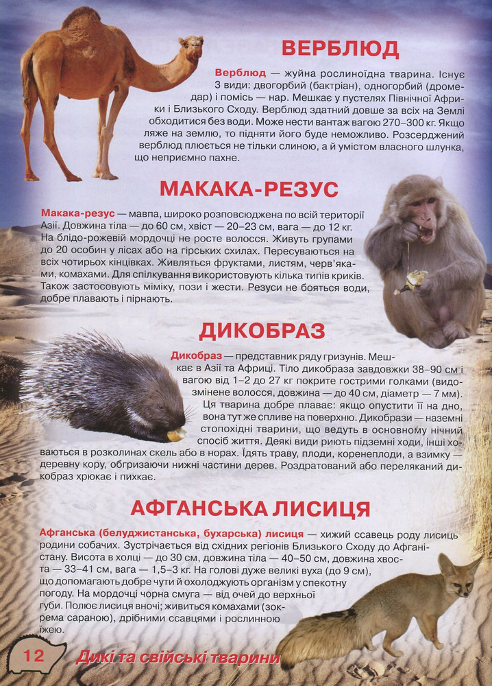Книга Ілюстрований атлас живої природи. Фото 12
