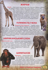Книга Ілюстрований атлас живої природи. Фото 5