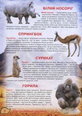 Книга Ілюстрований атлас живої природи. Фото 6