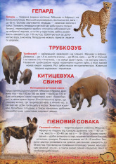 Книга Ілюстрований атлас живої природи. Фото 7