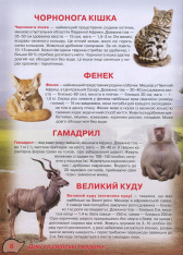 Книга Ілюстрований атлас живої природи. Фото 8