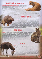 Книга Ілюстрований атлас живої природи. Фото 9