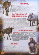 Книга Ілюстрований атлас живої природи. Фото 10