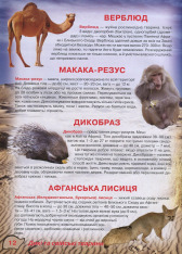 Книга Ілюстрований атлас живої природи. Фото 12