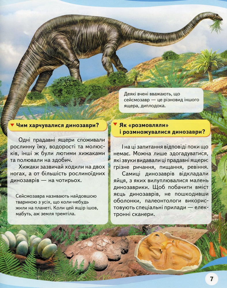 Чомусики. Космос і Транспорт. Енциклопедія у запитаннях та відповідях. Фото 8
