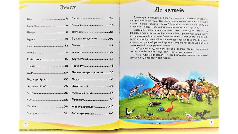 Мами та малюки. Ведмідь. Енциклопедія у запитаннях та відповідях. Фото 3
