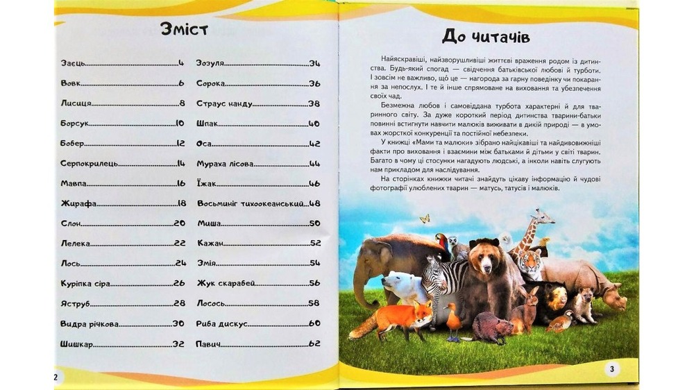 Мами та малюки. Тигр. Енциклопедія у запитаннях та відповідях. Фото 3