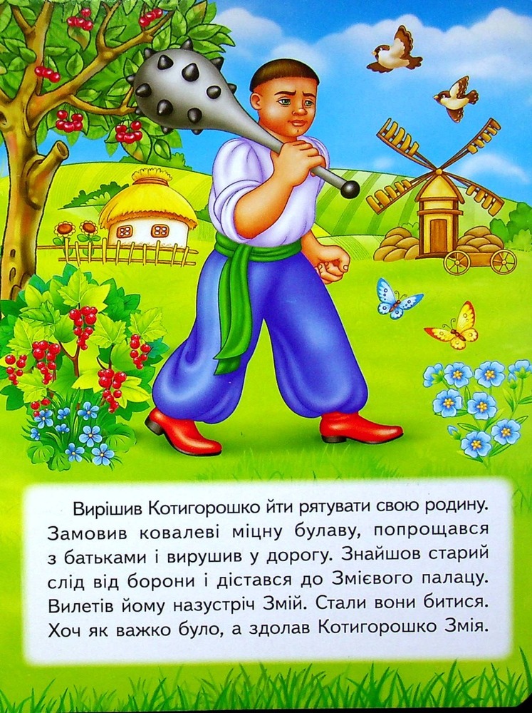 Книга Котигорошко. Фото 5
