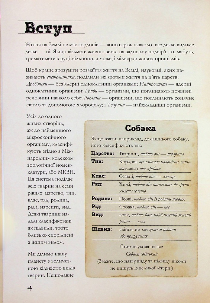 Книга Книга Наземні ссавці світу. Нотатки, малюнки та спостереження про тварин, які живуть на суходолі - Хуан Карлос Алонсо	. Фото 5