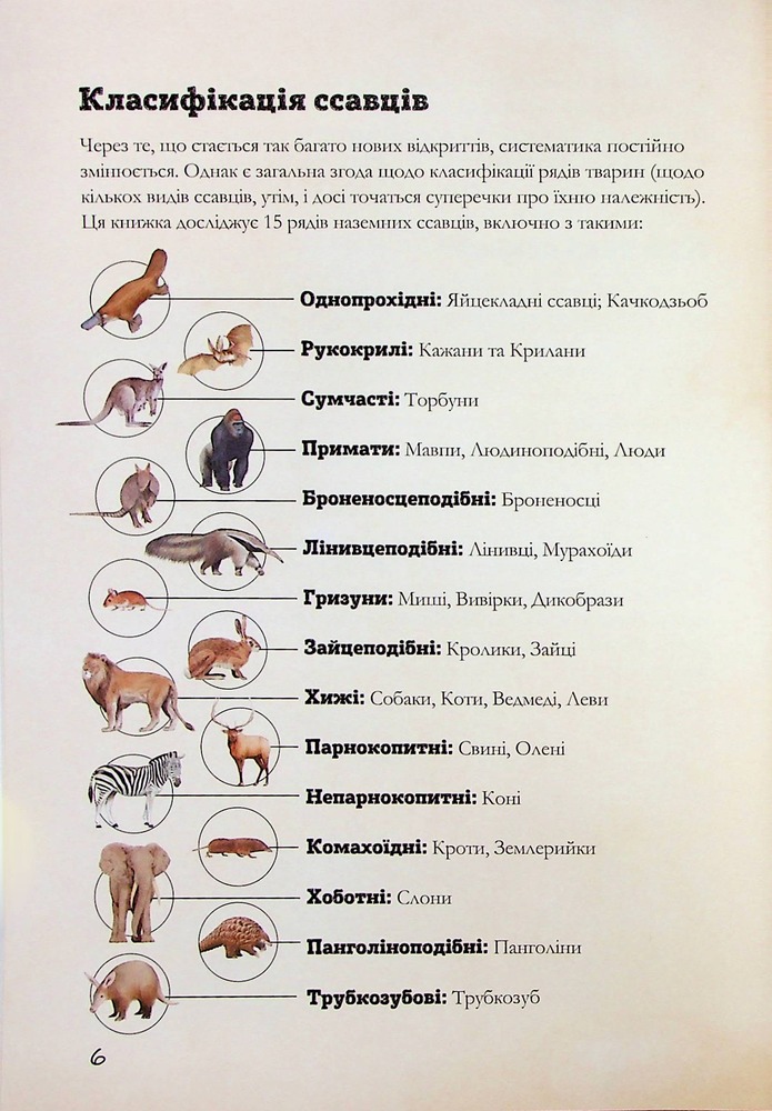 Книга Книга Наземні ссавці світу. Нотатки, малюнки та спостереження про тварин, які живуть на суходолі - Хуан Карлос Алонсо	. Фото 7