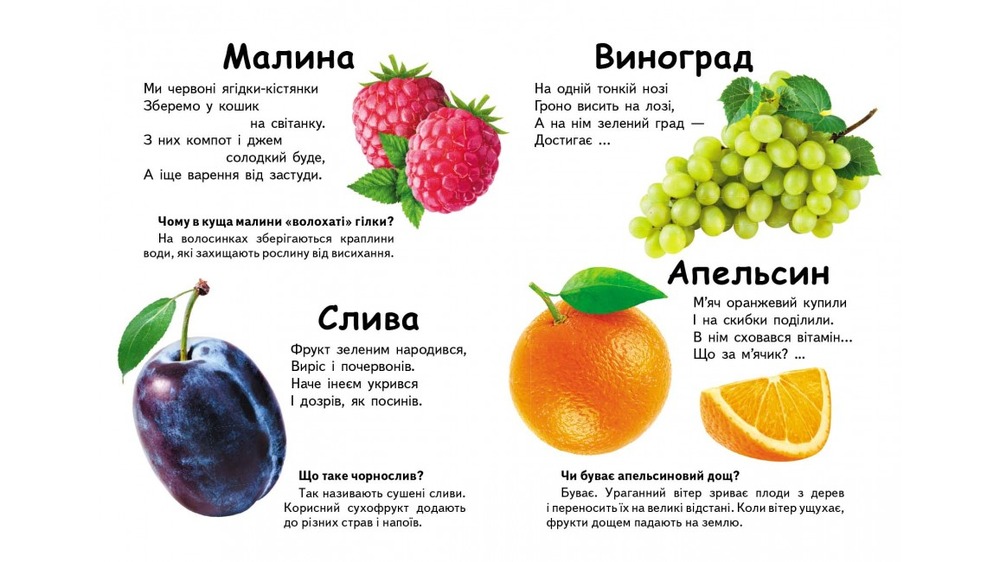 Книга Що це? Овочі, фрукти та ягоди. Фото 5