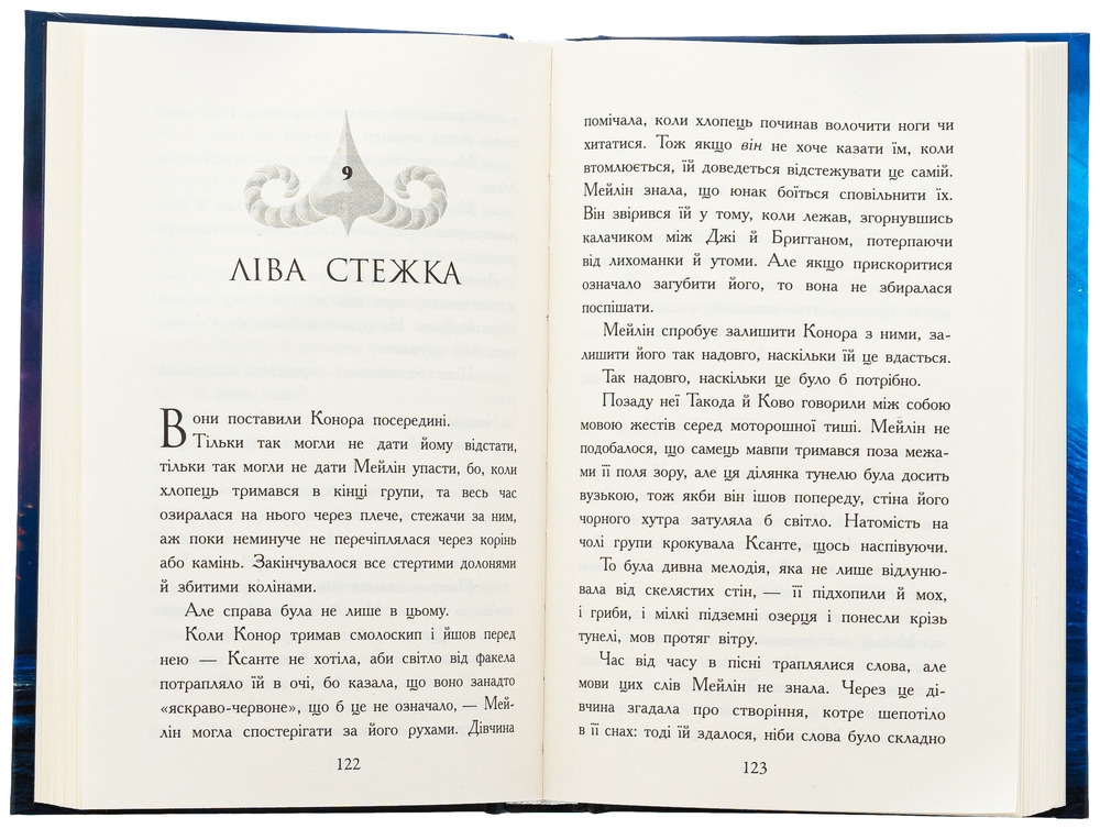 Книга Звіродухи. Падіння звірів. Книга 2. Тріснута земля - Вікторія Елізабет Шваб. Фото 5