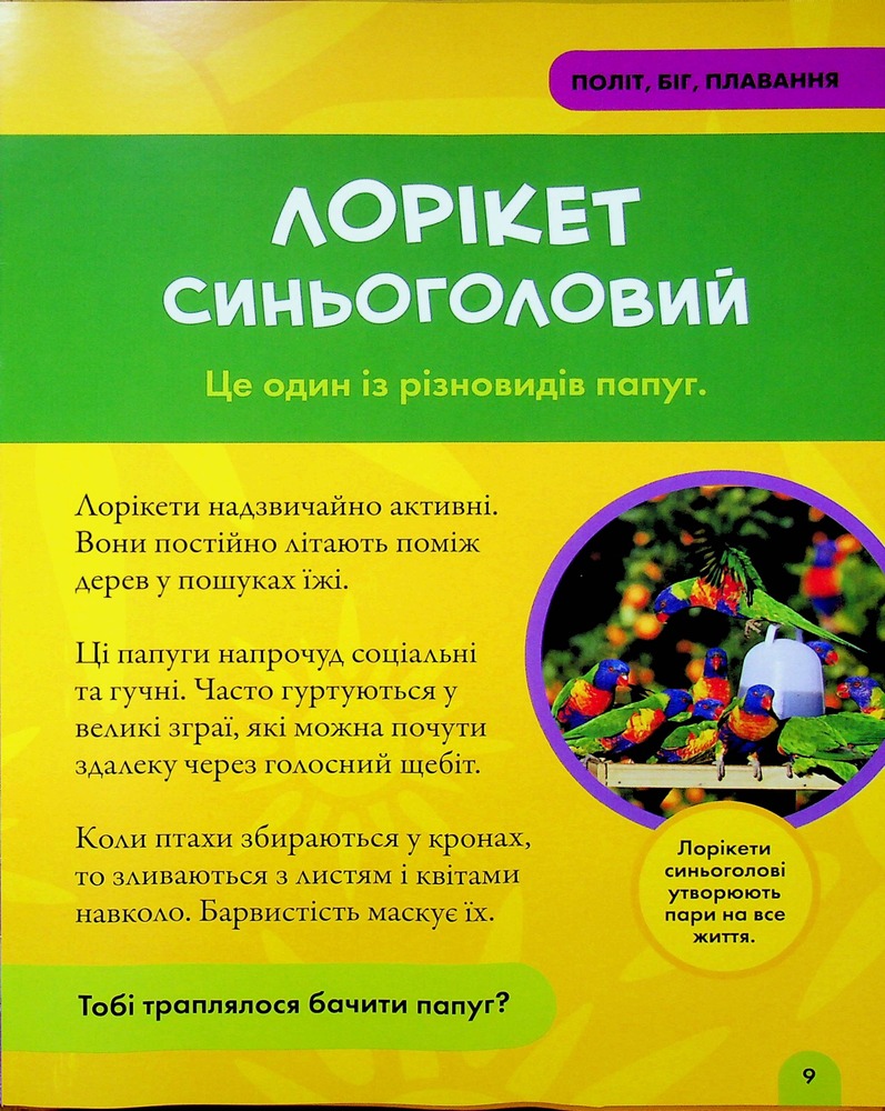Книга National Geographic. Моя перша енциклопедія. Птахи. Фото 12