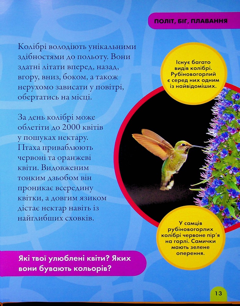 Книга National Geographic. Моя перша енциклопедія. Птахи. Фото 15