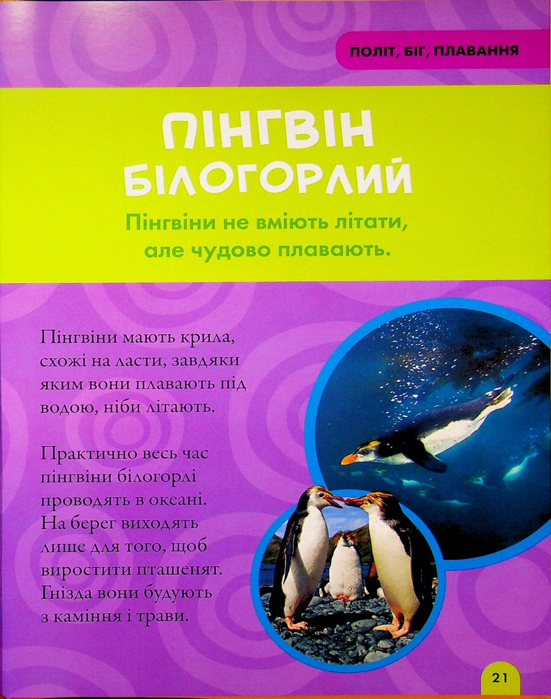 Книга National Geographic. Моя перша енциклопедія. Птахи. Фото 23