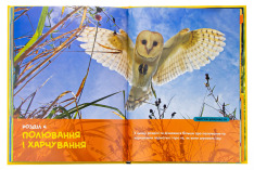 Книга National Geographic. Моя перша енциклопедія. Птахи. Фото 7