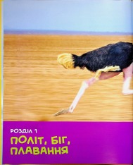 Книга National Geographic. Моя перша енциклопедія. Птахи. Фото 8