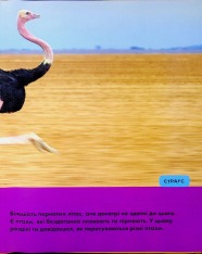 Книга National Geographic. Моя перша енциклопедія. Птахи. Фото 9