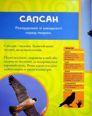 Книга National Geographic. Моя перша енциклопедія. Птахи. Фото 11