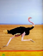 Книга National Geographic. Моя перша енциклопедія. Птахи. Фото 18