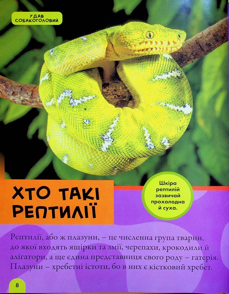 Книга National Geographic. Моя перша енциклопедія. Рептилії та амфібії. Фото 9